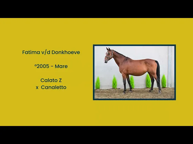 Fatima v/d Donkhoeve