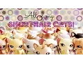 All My LPS Shorthair Cats LPSskittles