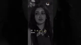 مشاعر قسمة و نصيب الجزء الثاني  قسمة ونصيب  مشاعر  شيرين  وجدان سعيد  شاهيناز دندنها