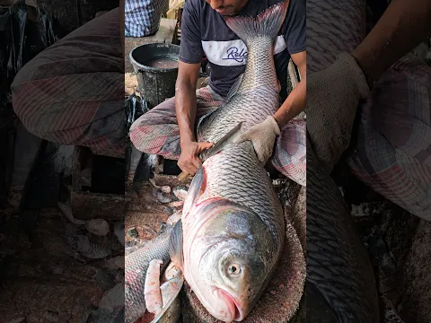 🔥😱 Amazing Giant Katla peti Fish Cutting Skills #shorts