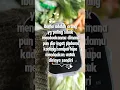 Download Lagu Doa ibu kepada anak tak lekang oleh waktu dan tempat