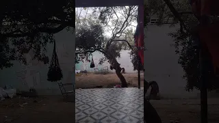 وقت السحر في غزه الجزء التالت يلا نخلص الساعات و نحل الواجب الوطني سوا 