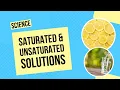 Saturated and Unsaturated Solutions Science Lesson