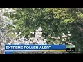 Extreme pollen alert