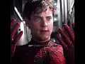 Download Lagu “If You Have An Idea” - Spider-Man Edit | Swing Lynn - Twin Cabins (Slowed)