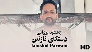 Jamshid Parwani دستکای نازنین چوری ندارد جمشید پروانی 