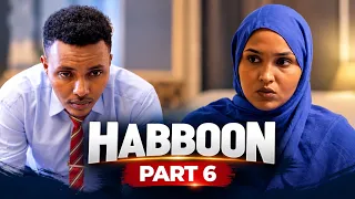 HABBOON PART 6