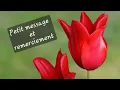 Download Lagu Asmr français \