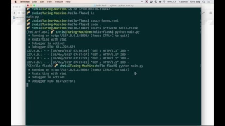 Forms in Flask
