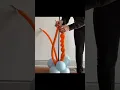 260 Twist On Balloon Arch