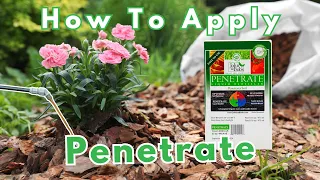 How To Apply PENETRATE Liquid Bio-Tiller Beneficial Bacteria
