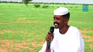 شعراء البادية عبدالله ود أدريس محمد الطيب 