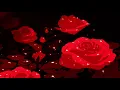 lucky daye - love you too much ~ (slowed + reverb)