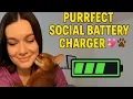 Download Lagu ❤️ Cute Cat \u0026 Owner Moments | Adorable Cat Love \u0026 Bonding Compilation 🐾