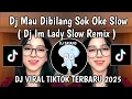 Download Lagu DJ MAU DIBILANG SOK OKE SLOW  || DJ IM  LADY SLOW VIRAL TIKTOK TERBARU 2025 YANG KALIAN CARI