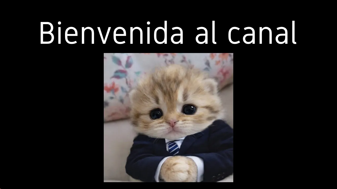 BIENVENIDA AL CANAL DE MICHILAND | Ft. Abraham066