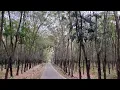 Download Lagu Video Profil Desa Gondoriyo Kec. bergas Kab. Semarang | KKN UNNES GIAT 9