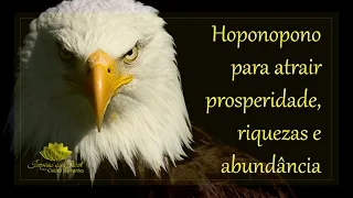 hooponopono para atrair prosperidade abund ncia e riqueza