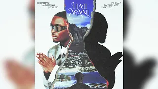 dj phaphane x nandipha808 x jay music haii mani ft rivalz babygirlmint nation 365