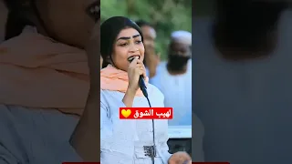 مروة الدولية لهيب الشوق 