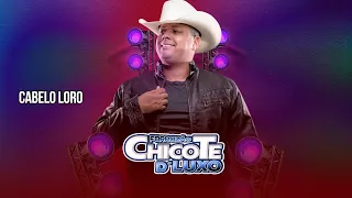CABELO LOIRO FORROZÃO CHICOTE D LUXO LANÇAMENTO 2024 AO VIVO 