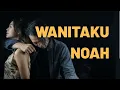 NOAH - Wanitaku Cover ( Felix Irwan ) Lirik