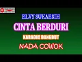 Download Lagu KARAOKE DANGDUT CINTA BERDURI - ELVY SUKAESIH (COVER) NADA COWOK Eminor MP3