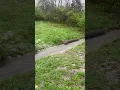 Storm drain that likely swept away Kentucky boy who died