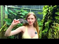 Walking Through a Butterfly Paradise with Diana Rider 