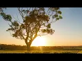Jon Hopkins - Abandon Window