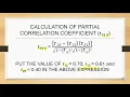 NUMERICAL 1 PARTIAL CORRELATION