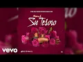 Shane E - Su Tesoro (Official Audio)
