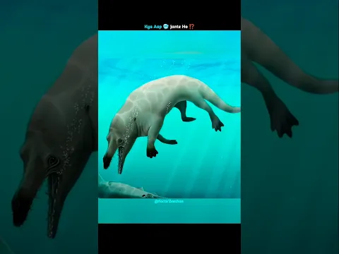 Are Dinosaurs Still Alive Among Us?