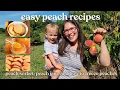 Peach Recipes Peach Jam Peach Sorbet plus How to Freeze Peaches
