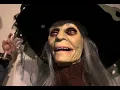 Home Depot s Lethal Lily The Witch ALL PHRASES
