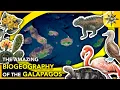 Download Lagu The Amazing Biogeography of the Galapagos