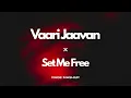 Vaari Jaavan | Dhurandhar The Revenge | Ranveer Singh | Shashwat S,Jyoti N,Jasmine S,Reble | DJ Rage