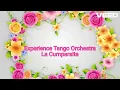 La Cumparsita / Experience Tango Orchestra