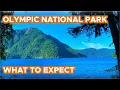 Things to do in Olympic National Park What to expect Where to Stay Self Q A