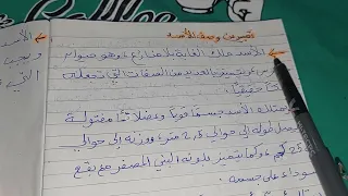 تعبير عن وصف الأسد 