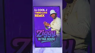 i need love ziggy in tha house reggae remix