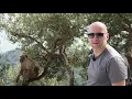 ALGIERIA OD KUCHNI - ODC 1 Biznes pieniadze i spotkania ktorych nie zalatwisz mailem