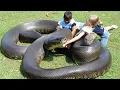 Download Lagu The Largest Snake on Earth Just Chilling Like a Pet MP3