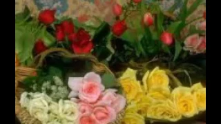 عفاف راضي يمكن عالبالوا حبيبي حالة واتساب 