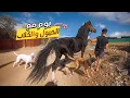 Download Lagu فيديو جديد🌞قضينا يوم كامل في المزرعةمع الكلاب🦮والخيول🐴أجواء رائعة 🤩