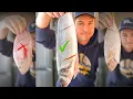 I Ranked Costco s Whole Fish Snapper vs Branzino vs Tilapia