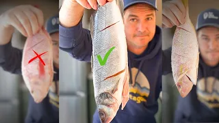 I Ranked Costco s Whole Fish Snapper vs Branzino vs Tilapia