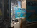 Download Lagu Ihan batak dekke jurung jurung..