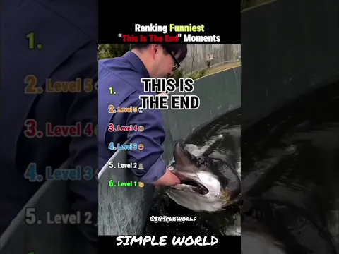 விலங்குகள் vs மனிதர்கள் | Funny Dog vs SIMPLE WORLD