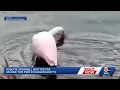 Rare bird sighted on the South Shore
